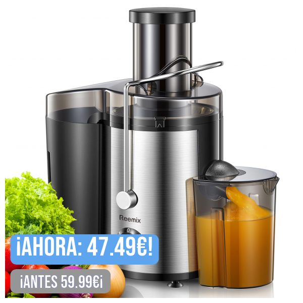 Reemix Licuadoras Para Verduras y Frutas, Licuadora de Acero Inoxidable, Fácil de Limpiar, 2 Modos de Velocidad, 65MM de Boca Ancha, Pies Nondeslizantes, Cepillo Incluido (Black, 800W)